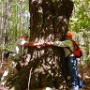 Oct 2011: Deerfield Road Town Forest Walk