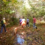 Oct 2011: Deerfield Road Town Forest Walk