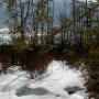 Kinnicum Pond - January Photo