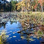 Pond - North Road - September Photo