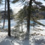 North Road Pond - January Photo - Photo by Judi Lindsey