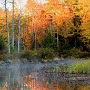 Wetland along North Road - October Photo - Photo by Mark Giuliucci