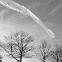 Winter sky line by Tracy, taken on New Boston Road - January 2019 photo