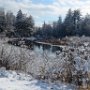 North Branch of Lamprey River - New Boston Road by Betsy Kruse - February 2020