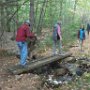 Oct 2021: Deerfield Road Town Forest Guided Walk