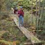 Oct 2021: Deerfield Road Town Forest Guided Walk