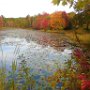 Podunk Road Pond by Judi Lindsey - October 2023 photo