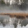  Fall Fog Reflections by Judi Lindsey - November 2023 photo
