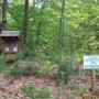 Flint Road Timber Harvest