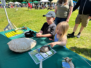 Candia Farmers Market: Event photos