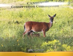 CCC Calendar 2019