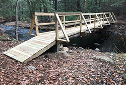 Dennis Lewis Town Forest Bridge