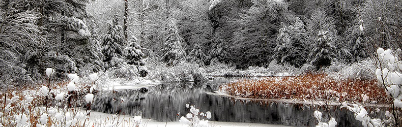 Winter Scene by Mark Giuliucci - January 2021 Calendar photo